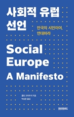 사회적 유럽선언
